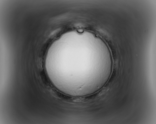 X0000085251205200703301802