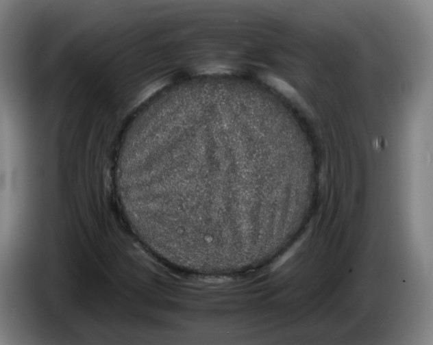 X0000085251209200703301802