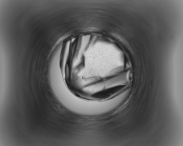 X0000085251210200703301802