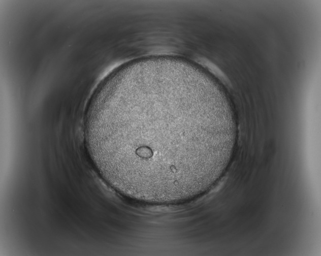 X0000085251212200703301802