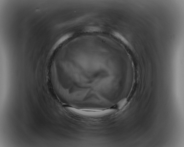 X0000085251213200703301802