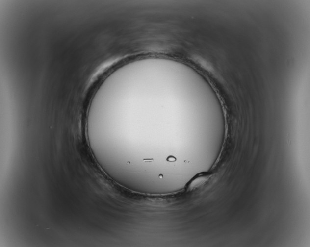 X0000085251214200703301802