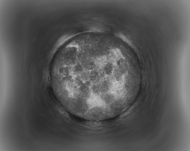 X0000085251215200703301802