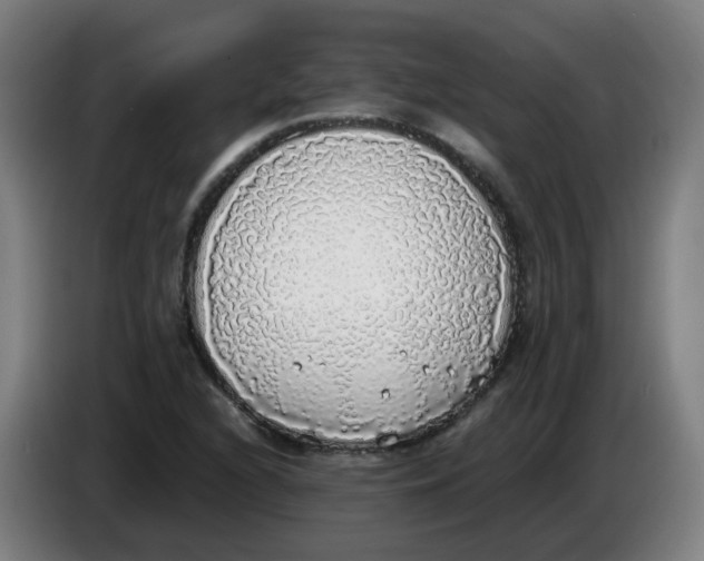 X0000085251216200703301803