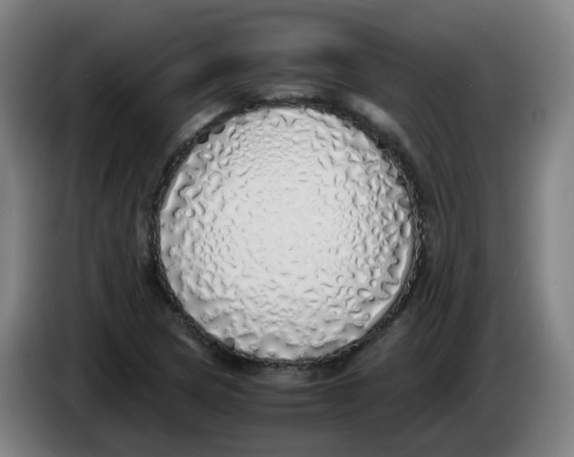 X0000085251217200703301803