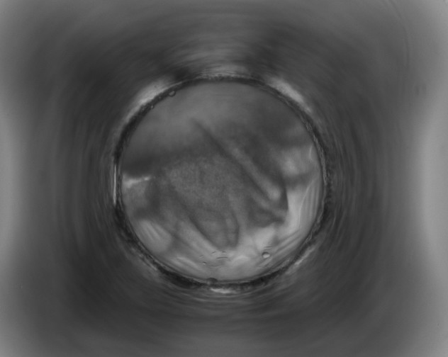 X0000085251219200703301803