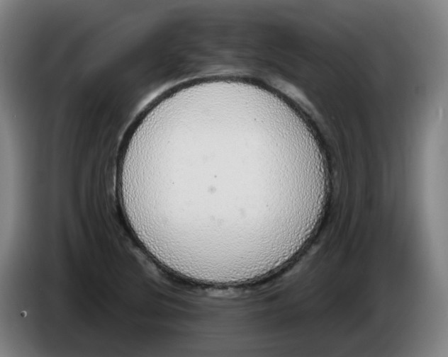 X0000085251220200703301803