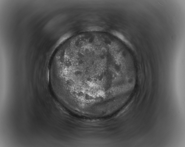 X0000085251221200703301803