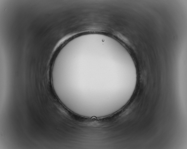 X0000085251222200703301803