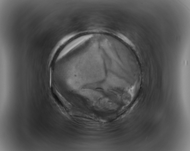 X0000085251223200703301803