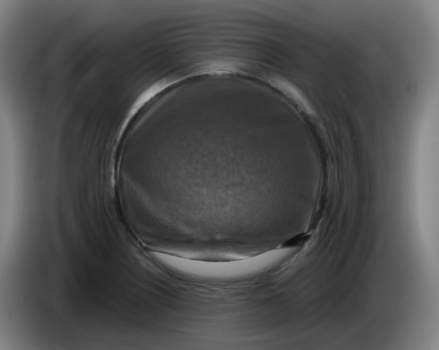 X0000085251226200703301803