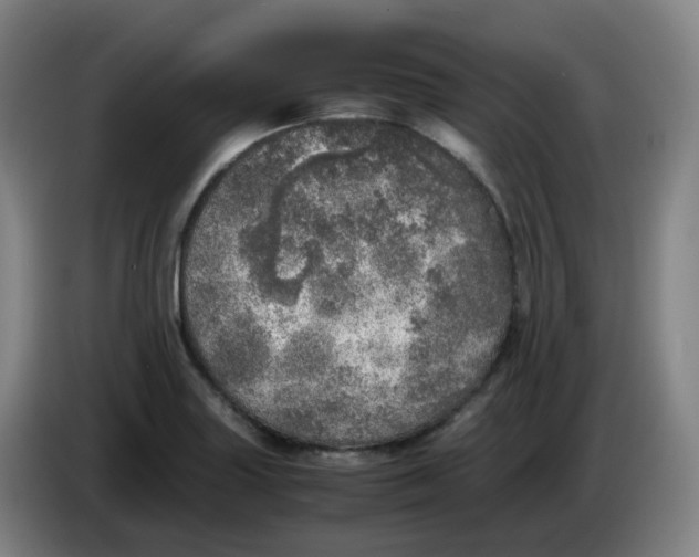 X0000085251227200703301803