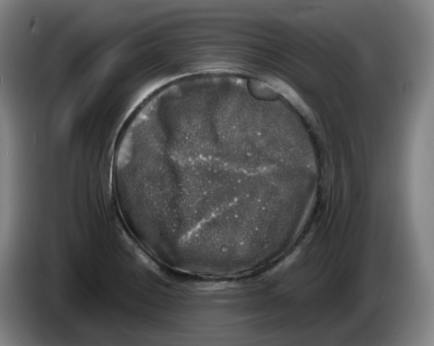 X0000085251228200703301803