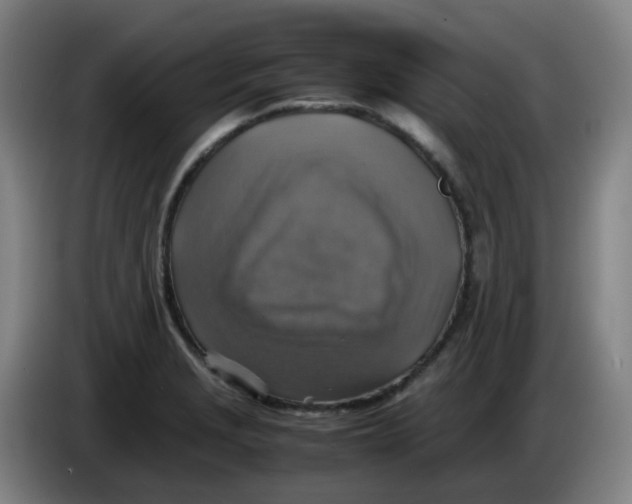 X0000085251229200703301803