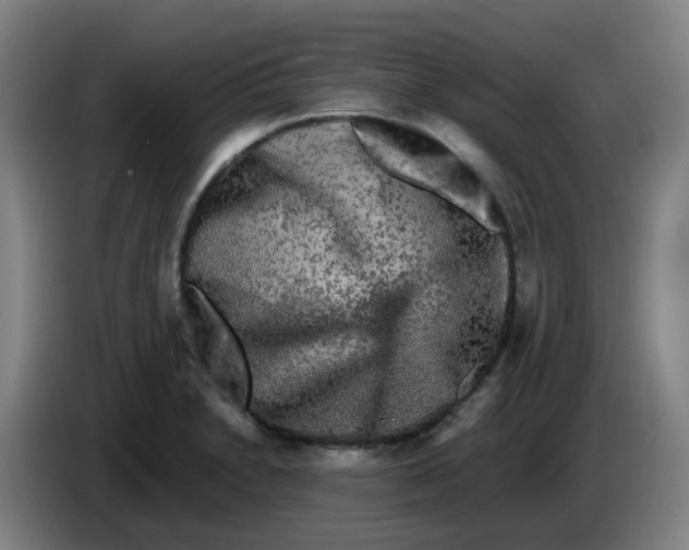 X0000085251230200703301803