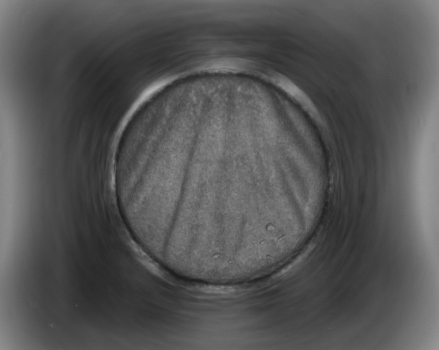 X0000085251232200703301803