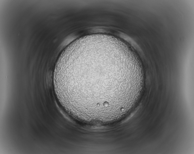 X0000085251233200703301803