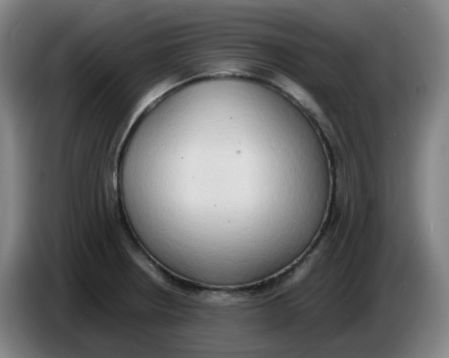 X0000085251234200703301803