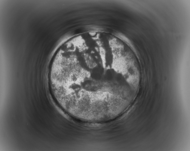 X0000085251235200703301803