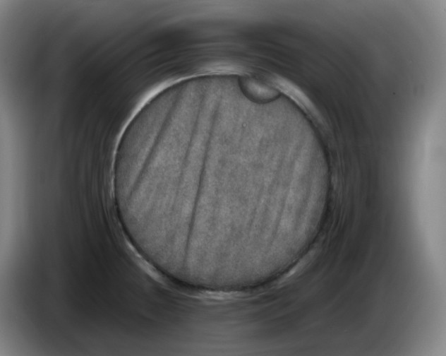 X0000085251236200703301803