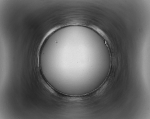 X0000085251238200703301803