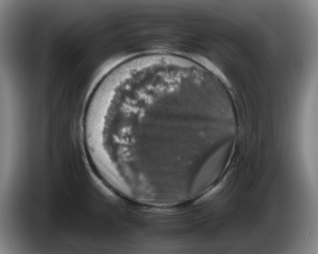 X0000085251239200703301803