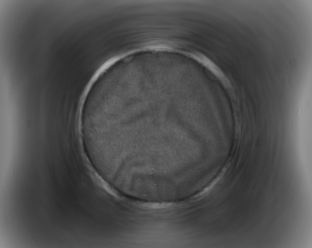 X0000085251240200703301803