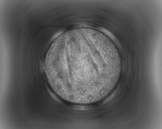 X0000085251241200703301803