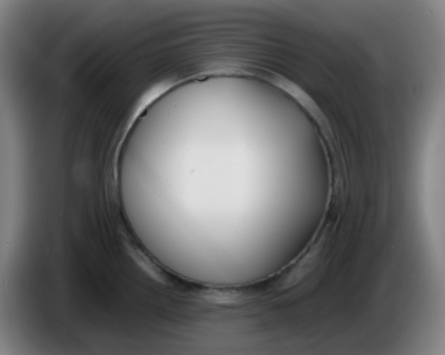 X0000085251242200703301803