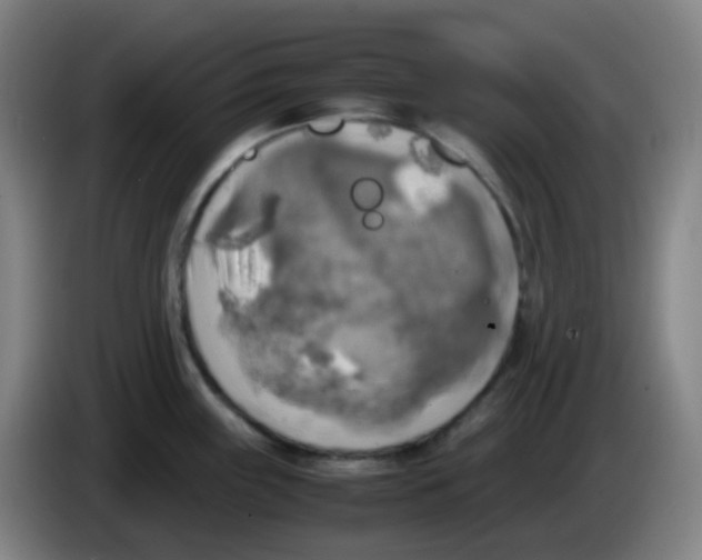 X0000085251243200703301803