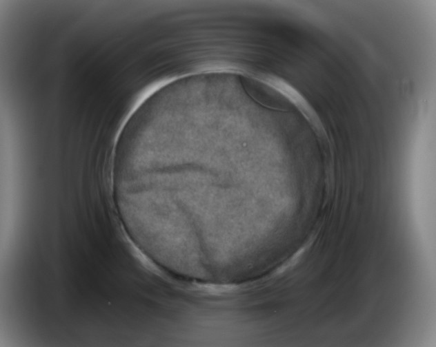 X0000085251244200703301803