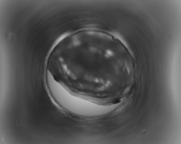 X0000085251245200703301803