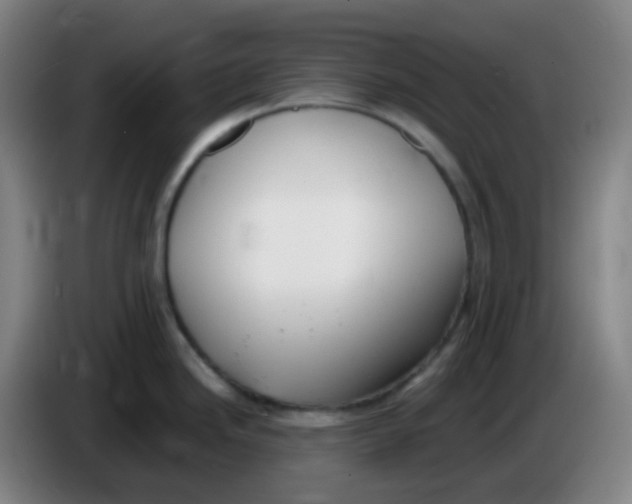 X0000085251246200703301803