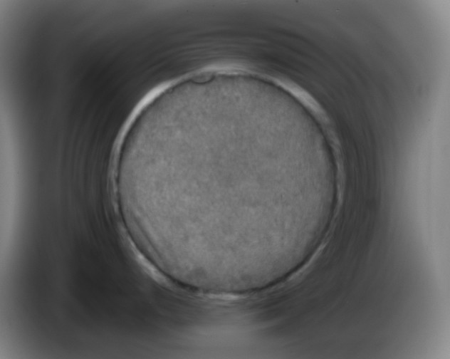 X0000085251248200703301803