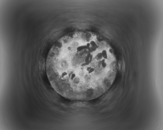 X0000085251251200703301802