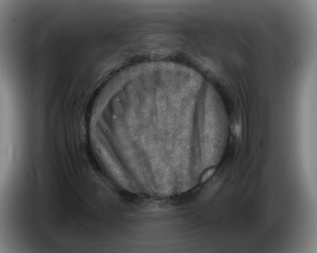 X0000085251252200703301802