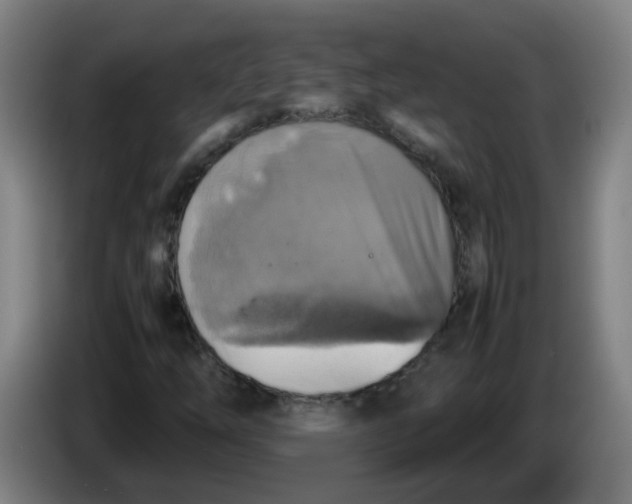 X0000085251254200703301802