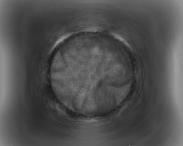 X0000085251256200703301802