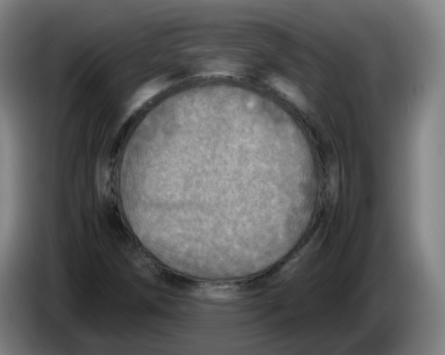 X0000085251258200703301802