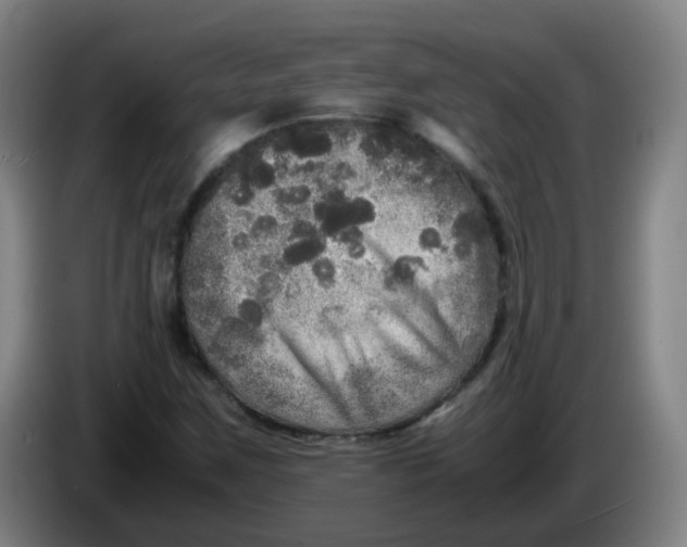 X0000085251259200703301802