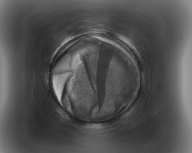 X0000085251260200703301802