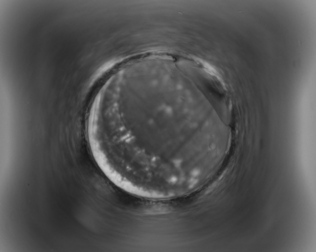 X0000085251263200703301802