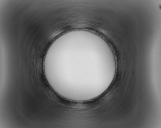 X0000085251265200703301802