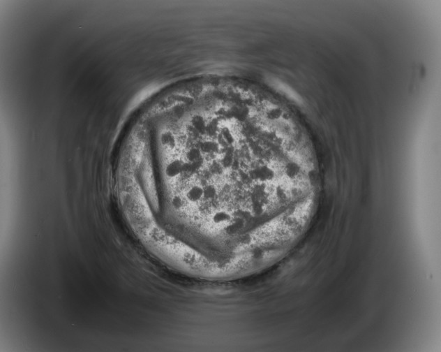 X0000085251267200703301802