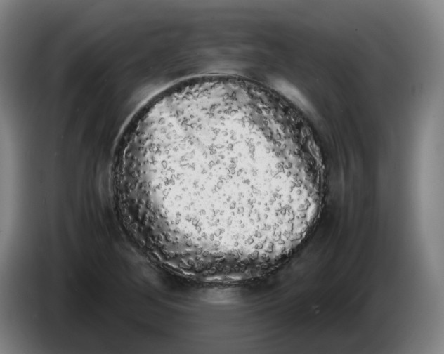 X0000085251268200703301802