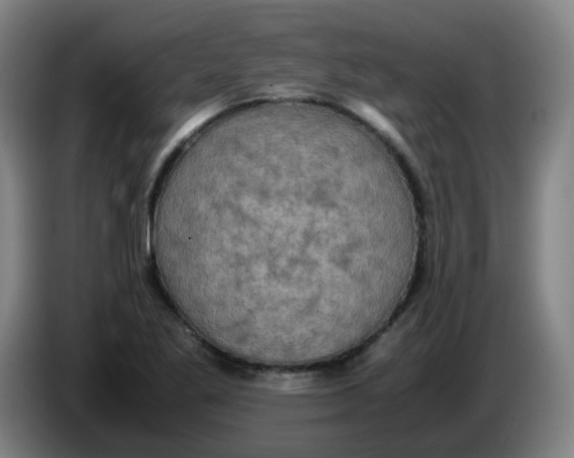 X0000085251269200703301802