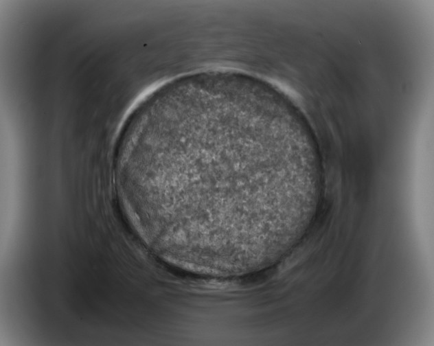 X0000085251271200703301802