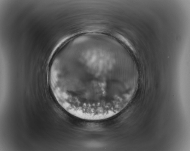 X0000085251275200703301802