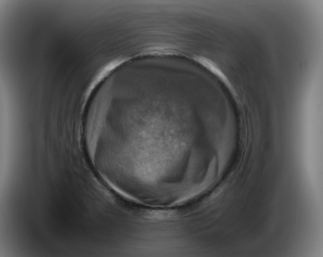 X0000085251277200703301802