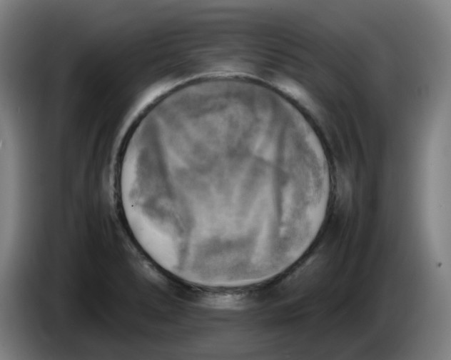 X0000085251278200703301802